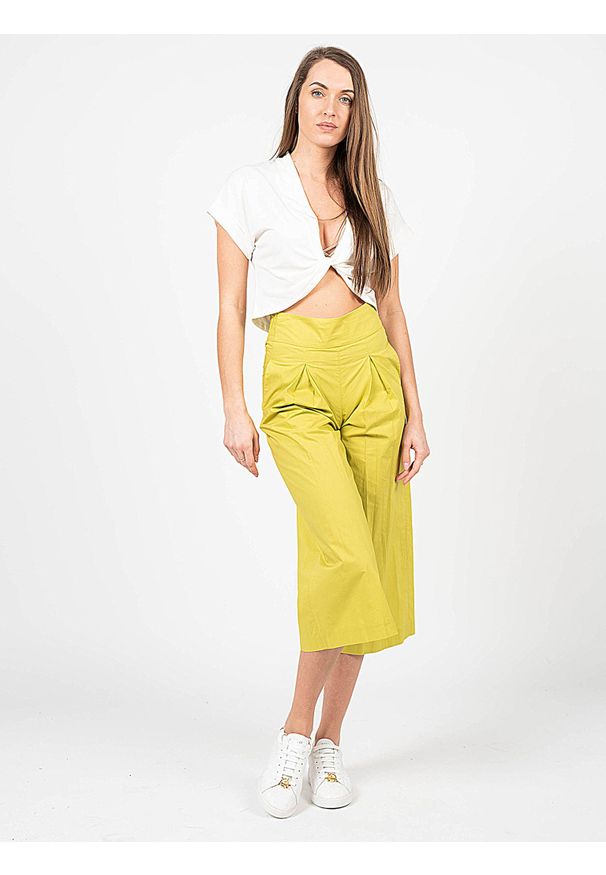 Pinko Spodnie "Teso 4" | 1G161E Y6VX | Teso 4 | Kobieta | Zielony. Stan: podwyższony. Kolor: zielony. Materiał: bawełna