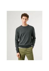 Pulower Pepe Jeans Andre. Kolor: szary #2