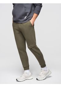 Ombre Clothing - Spodnie męskie dresowe z przeszyciem i zamkiem na nogawce - oliwkowe V3 - Rozmiar: XL. Kolor: oliwkowy. Materiał: dresówka. Wzór: nadruk