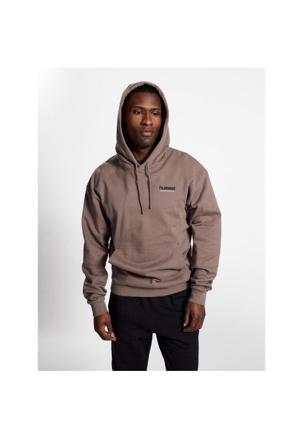Bluza Hummel Lgc Nate. Kolor: brązowy. Sport: fitness