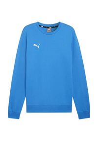 Bluza sportowa męska Puma B23613. Kolor: niebieski