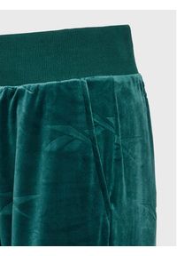 Reebok Spodnie dresowe Classics Energy Q4 HK4935 Zielony Slim Fit. Kolor: zielony. Materiał: syntetyk, dresówka #3