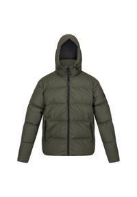 Regatta - Kurtka turystyczna męska zimowa pikowana Saltern. Typ kołnierza: kaptur. Kolor: wielokolorowy, brązowy, zielony. Materiał: puch. Długość: krótkie. Sezon: zima. Sport: turystyka piesza #1
