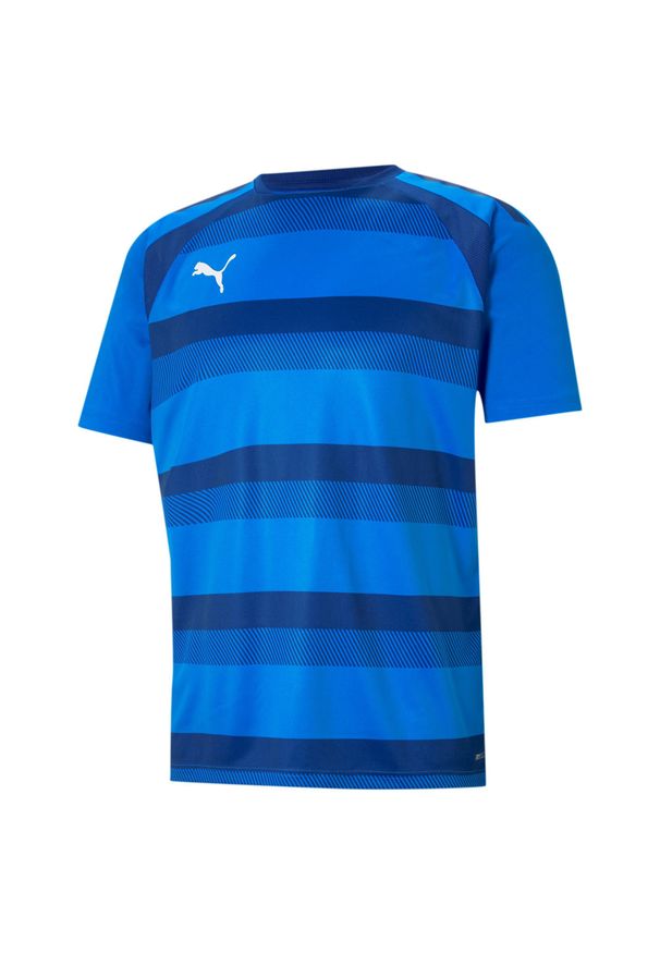 Koszulka męska Puma teamVISION Jersey. Kolor: niebieski. Materiał: jersey. Sport: piłka nożna