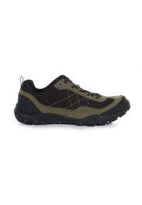 Edgepoint Life Regatta męskie trekkingowe buty. Kolor: brązowy. Materiał: poliester. Sport: turystyka piesza