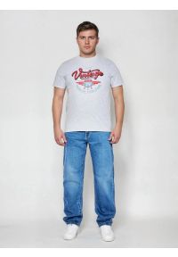 Big-Star - Koszulka męska z nadrukiem szara Merret 901. Okazja: na co dzień. Kolor: szary. Materiał: jeans, dzianina, bawełna, skóra. Wzór: nadruk. Sezon: lato. Styl: casual, vintage, klasyczny #6