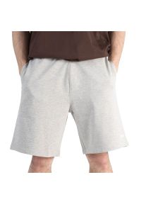 Spodenki męskie Prosto Sweat Shorts Myst KL251MPAN6022 - szare. Kolor: szary. Materiał: dresówka, bawełna. Wzór: aplikacja