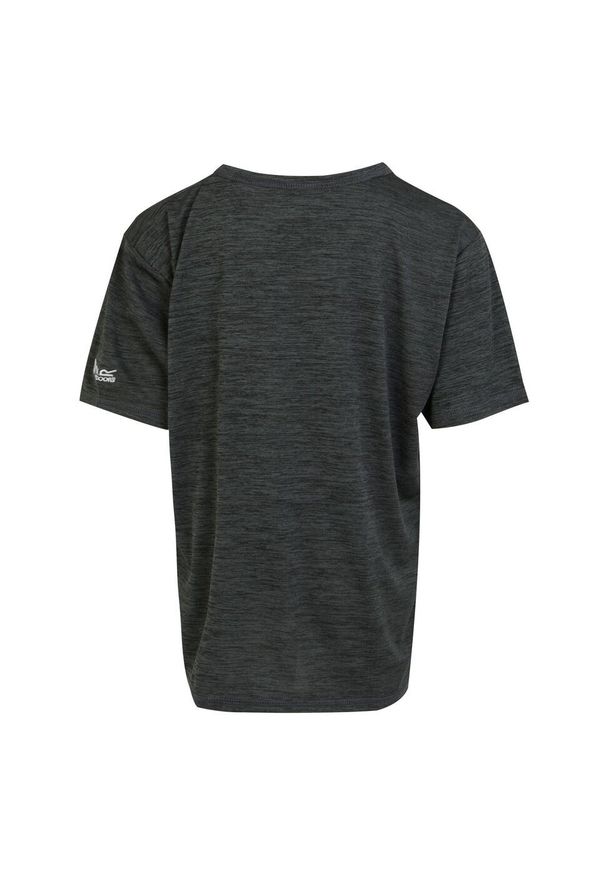 Regatta - T-shirt Dziecięca Nadruk Łapy Melanżowy Alvardo VIII. Kolor: szary. Wzór: nadruk, melanż