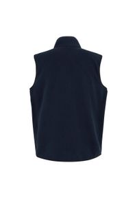 Regatta - Ocieplana Męska Borg Frankie. Kolor: niebieski. Styl: sportowy. Sport: turystyka piesza #2