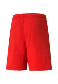 Puma - Męskie Spodenki TeamLIGA. Kolor: czerwony. Sport: turystyka piesza