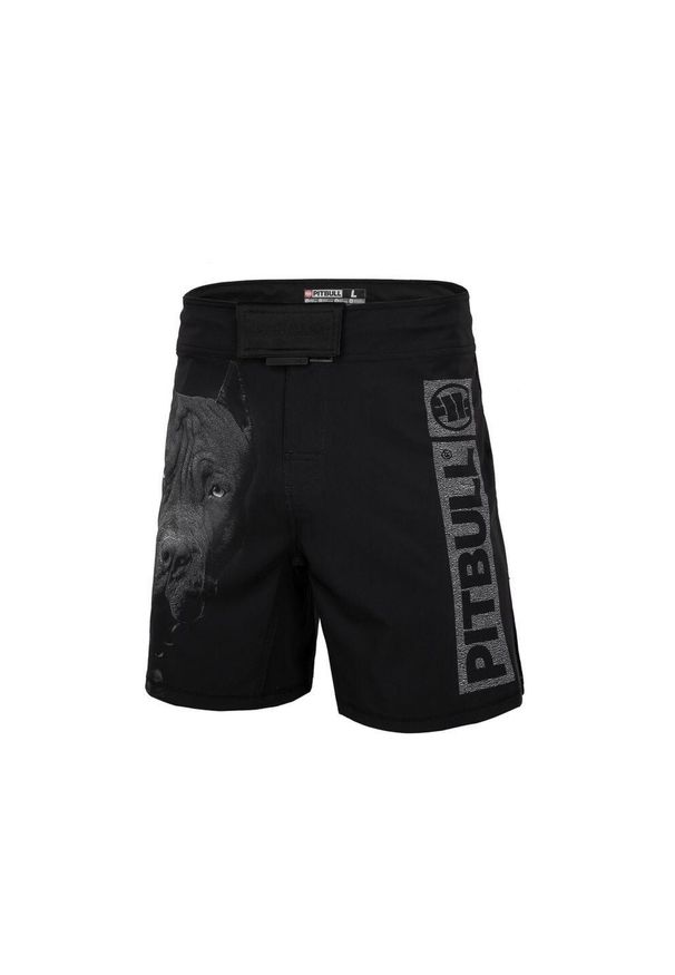 PITBULL - Spodenki męskie Pitbull treningowe Performance Pro plus Cross Camo. Kolor: czarny. Długość: krótkie. Sezon: lato
