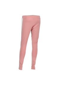 Spodnie sportowe damskie Puma 57507514. Kolor: różowy. Materiał: bawełna, materiał, syntetyk