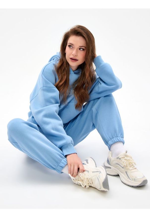 Sinsay - Spodnie dresowe jogger - niebieski. Kolor: niebieski. Materiał: dresówka