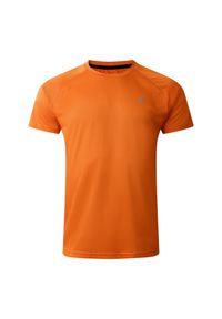 DARE 2B - T-shirt Męski Niska Waga Accelerate. Kolor: pomarańczowy. Sport: turystyka piesza