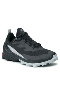 salomon - Salomon Trekkingi Cross Over 2 GORE-TEX L47271100 Szary. Kolor: szary