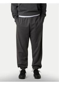 The North Face Spodnie dresowe Expedition Celebration NF0A8E3E Szary Relaxed Fit. Kolor: szary. Materiał: bawełna #1