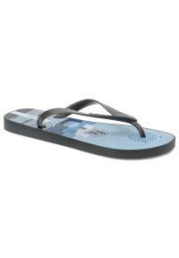 Niebieskie Japonki Ipanema Płaskie Obuwie Męskie. Okazja: na co dzień, na plażę, na spacer. Kolor: szary. Materiał: materiał. Wzór: paski. Sezon: lato. Styl: sportowy, elegancki, casual