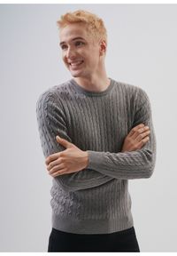 Ochnik - Bawełniany szary sweter męski. Kolor: szary. Materiał: bawełna