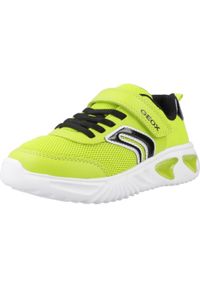 Tenisówki Geox Model J Assister Boy Kolor Zielony. Kolor: zielony. Materiał: tkanina. Sport: turystyka piesza
