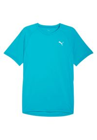 Koszulka Puma M Run Velocity (Poly) Dorośli. Kolor: niebieski. Sport: bieganie