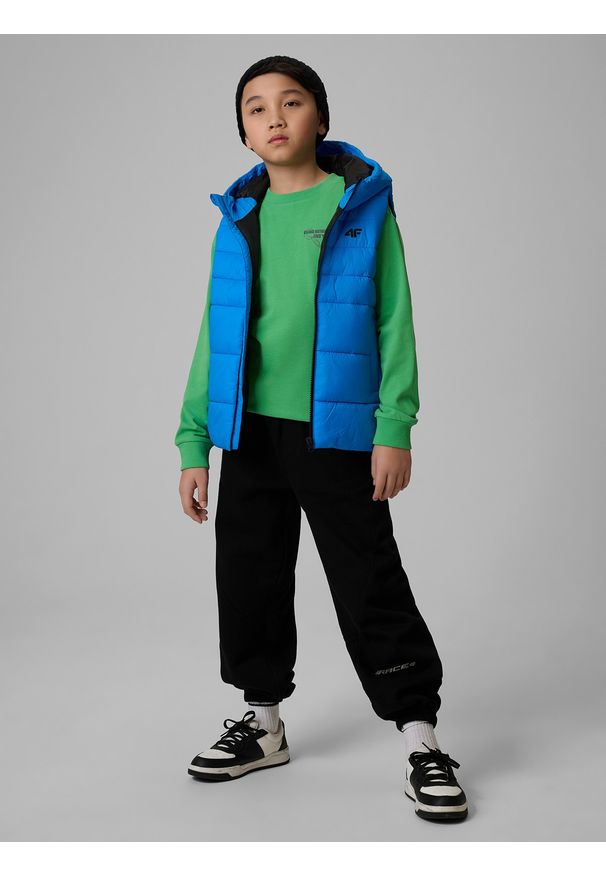 4f - 4F Bezrękawnik z wypełnieniem syntetycznym chłopięcy - granatowy 152 (11-12 lat). Okazja: na spacer, na co dzień, na uczelnię. Typ kołnierza: kołnierzyk stójkowy. Kolor: niebieski. Materiał: syntetyk. Długość rękawa: bez rękawów. Sezon: lato. Styl: casual