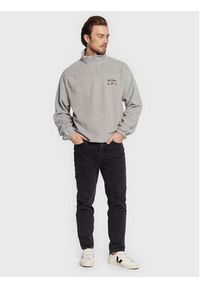 BDG Urban Outfitters Polar 75327031 Szary Relaxed Fit. Kolor: szary. Materiał: syntetyk #5