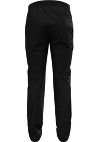 Spodnie tech. męskie Odlo Pants regular length ASCENT. Kolor: czarny. Sezon: lato. Sport: turystyka piesza #2