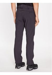 CMP Spodnie outdoor A01487-N Szary Regular Fit. Kolor: szary. Materiał: syntetyk. Sport: outdoor #3