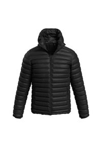 Stedman - Męska Kurtka Ocieplana Lux. Kolor: czarny. Materiał: puch. Sport: turystyka piesza #1