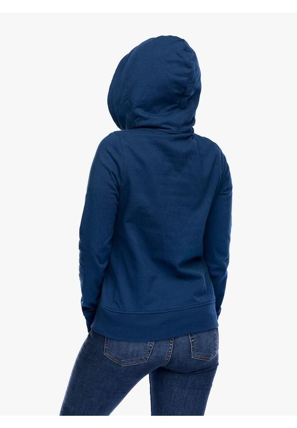 Bluza z kapturem damska Helly Hansen Nord Graphic Pullover Hoodie. Typ kołnierza: kaptur. Kolor: niebieski