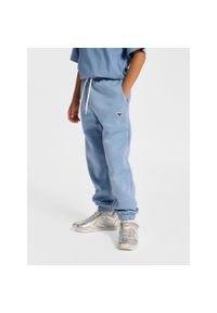 Spodnie dresowe dla dzieci Hummel BEE. Kolor: szary, niebieski, wielokolorowy. Materiał: dresówka. Sport: joga i pilates #1