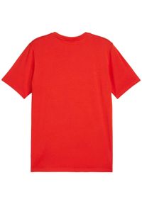 Koszulka męska Puma Team Goal Casuals Tee. Kolor: czerwony. Materiał: materiał