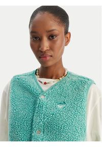 Roxy Bezrękawnik Iconic Twon Vest ERJPF03235 Zielony Regular Fit. Kolor: zielony. Materiał: syntetyk. Długość rękawa: bez rękawów #2