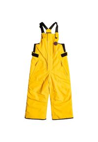 Spodnie narciarskie dla dzieci Quiksilver Boogie. Kolor: żółty. Sport: narciarstwo