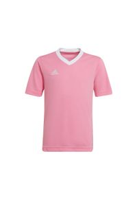 Adidas - Koszulka piłkarska dla dzieci adidas Entrada 22 Jersey. Kolor: różowy. Materiał: jersey. Sport: piłka nożna #1