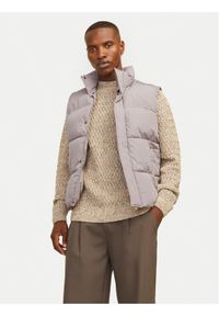 Jack & Jones - Jack&Jones Bezrękawnik Bradley 12256981 Szary Regular Fit. Kolor: szary. Materiał: syntetyk. Długość rękawa: bez rękawów