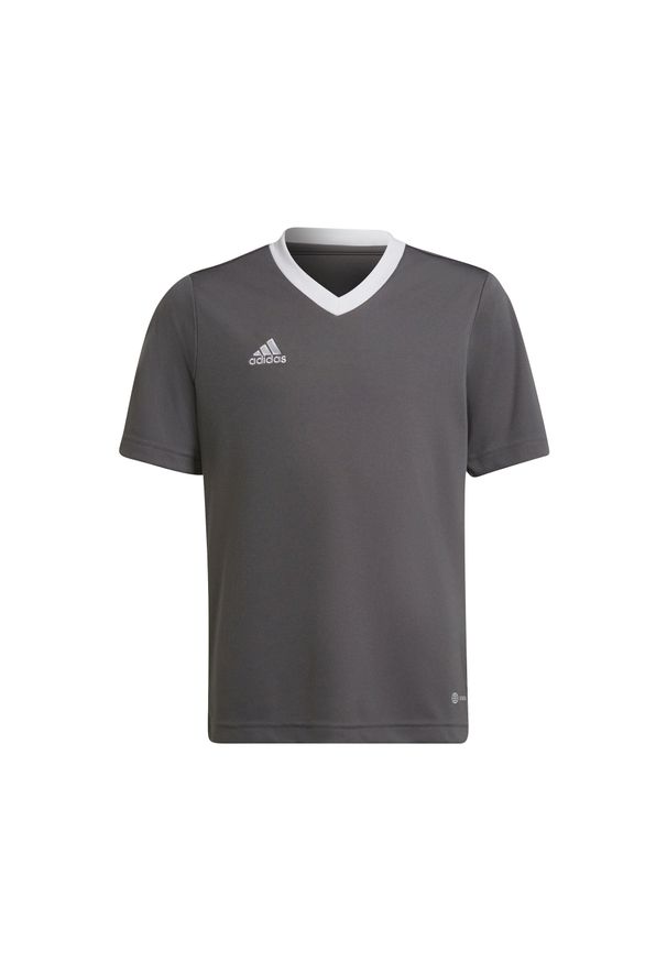 Adidas - Koszulka piłkarska dla dzieci adidas Entrada 22 Jersey. Kolor: szary. Materiał: jersey. Sport: piłka nożna