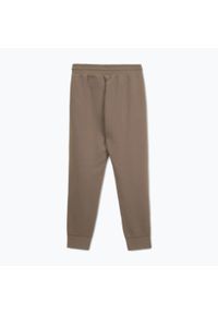PITBULL - Spodnie męskie Pitbull Sampson Track Pants. Kolor: brązowy