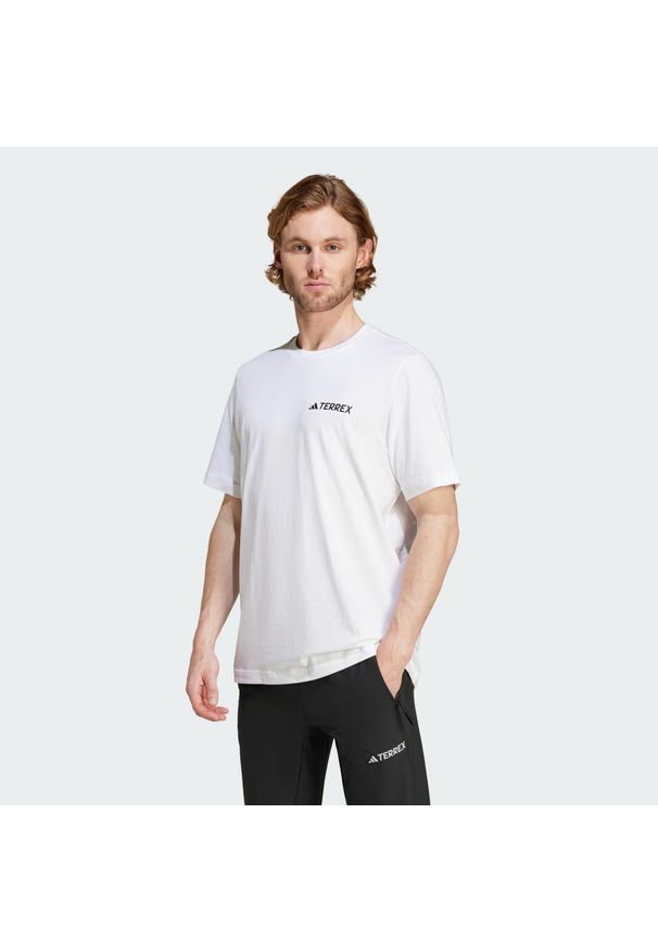 Adidas - Koszulka Terrex Graphic. Kolor: biały. Materiał: bawełna. Sport: outdoor, turystyka piesza