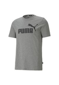 Puma - Męska koszulka z logo Essentials PUMA Medium Gray Heather. Kolor: szary. Materiał: bawełna, materiał #1