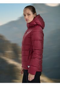 4f - 4F Kurtka puchowa trekkingowa z wypełnieniem Primaloft Silver damska - burgundowa XL. Kolor: czerwony. Materiał: puch. Technologia: Primaloft. Sport: turystyka piesza, wspinaczka #2
