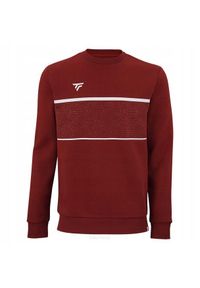TECNIFIBRE - Bluza dziecięca Tecnifibre Team Sweater. Kolor: czerwony, wielokolorowy, biały #1