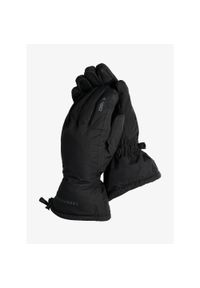 Rękawiczki Trekmates Classic DRY Glove. Kolor: czarny. Sezon: zima. Sport: narciarstwo #1