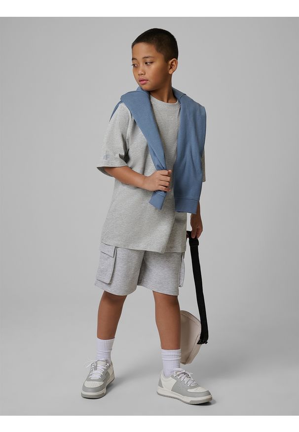 4f - 4F T-shirt loose z nadrukiem chłopięcy - szary 128 (7-8 lat). Okazja: na co dzień, na uczelnię. Kolor: szary. Materiał: dzianina, materiał, dresówka, bawełna, skóra. Wzór: nadruk. Sezon: lato. Styl: casual