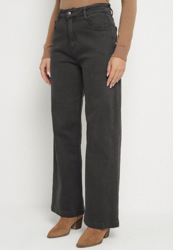 Born2be - Ciemnoszare Szerokie Jeansy z Wysokim Stanem Vetiluna. Okazja: na co dzień. Stan: podwyższony. Kolor: szary. Styl: casual, elegancki
