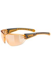 Okulary Uvex Equate. Kolor: szary, wielokolorowy, pomarańczowy. Sport: turystyka piesza #1