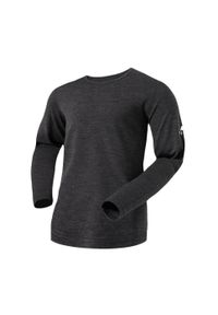 FJORK MERINO - Koszulka z długim rękawem męska 100% wełny merynosów - Finn 210. Kolor: szary. Materiał: wełna. Długość rękawa: długi rękaw. Długość: długie