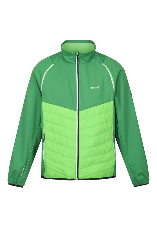 Regatta - Kurtka Męska Steren Hybrid Soft Shell. Kolor: zielony. Materiał: softshell. Sport: turystyka piesza