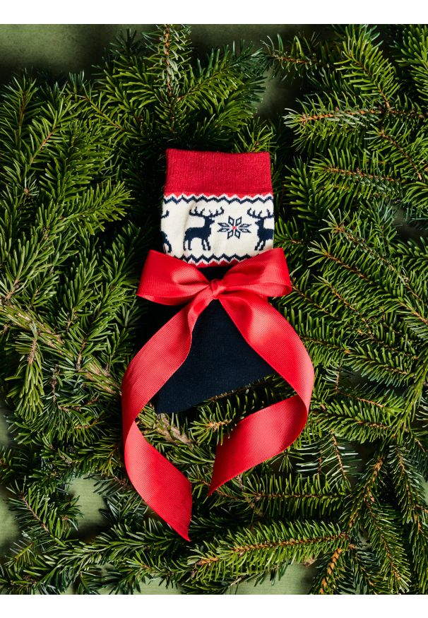 Big-Star - Skarpety męskie długie ze wzorem skandynawski granatowe Caleb 403. Kolor: niebieski. Materiał: żakard, skóra, bawełna. Wzór: ze splotem