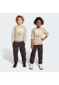 Adidas - Spodnie dresowe dla dzieci The Simpsons. Okazja: na uczelnię. Kolor: beżowy. Materiał: dresówka. Styl: sportowy